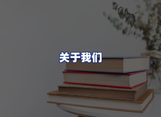 专业团队